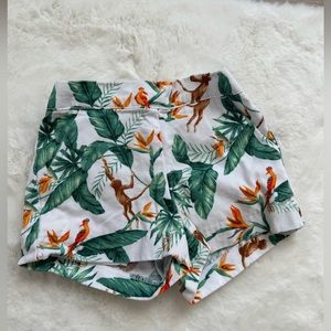 Janie and Jack shorts 6-12m
